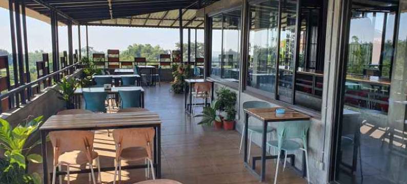 郁金香咖啡厅旅馆(Tulip Guest House & Cafe)图片