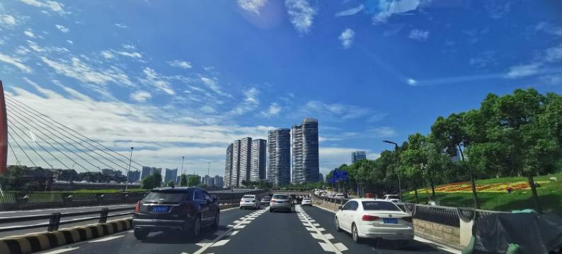 成都金牛叮叮猫民宿图片