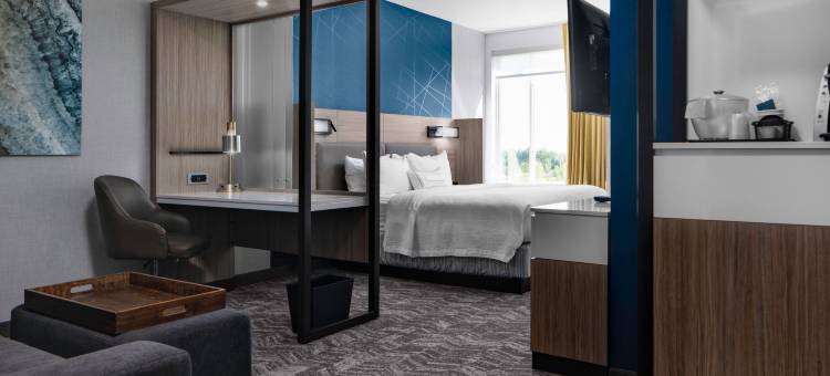 SpringHill Suites Winchester图片