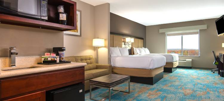 洲际酒店集团智选假日酒店及套房诺沃德-波士顿区(Holiday Inn Express & Suites Norwood-Boston Area)图片