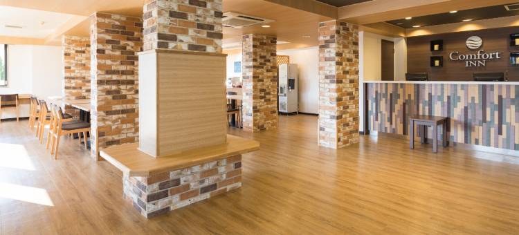 新泻龟田舒适酒店(Comfort Inn Niigata Kameda)图片