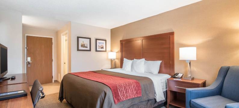 机场舒适酒店(Comfort Inn Airport)图片