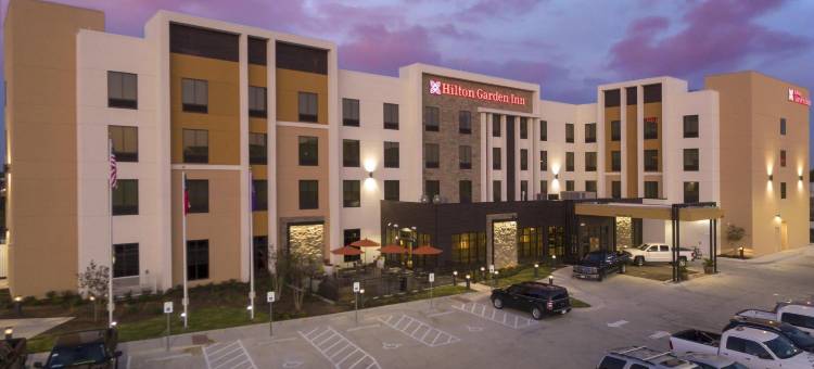 韦科希尔顿花园酒店(Hilton Garden Inn Waco)图片
