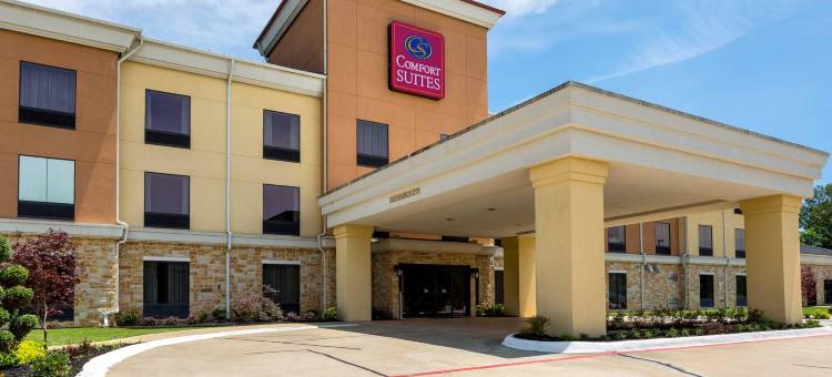 舒适套房酒店(Comfort Suites)图片