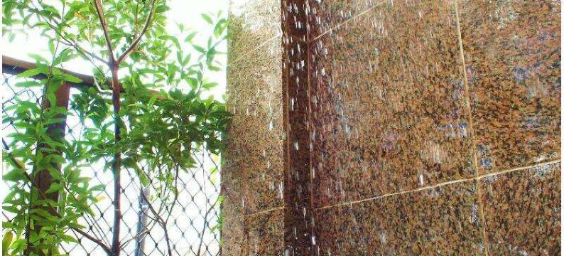 太阳皇后酒店(Hotel Sun Queen)图片