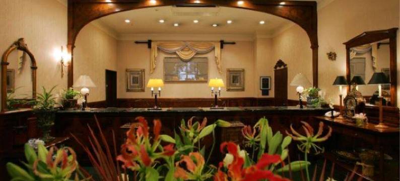 博多公爵酒店(Dukes Hotel Hakata)图片