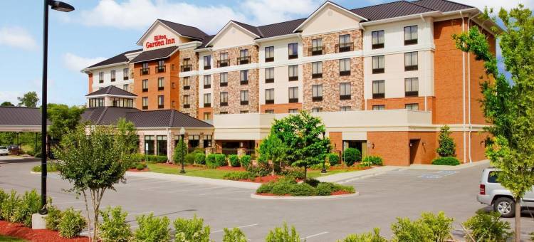 富兰克林纳什维尔酷斯普林斯希尔顿花园酒店(Hilton Garden Inn Nashville/Franklin Cool Springs)图片
