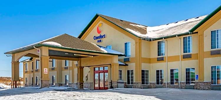 伊凡斯顿 I-80 舒适酒店(Comfort Inn Evanston I-80)图片