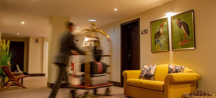 VIP行政皮卡奥斯酒店(VIP Executive Picoas Hotel)图片