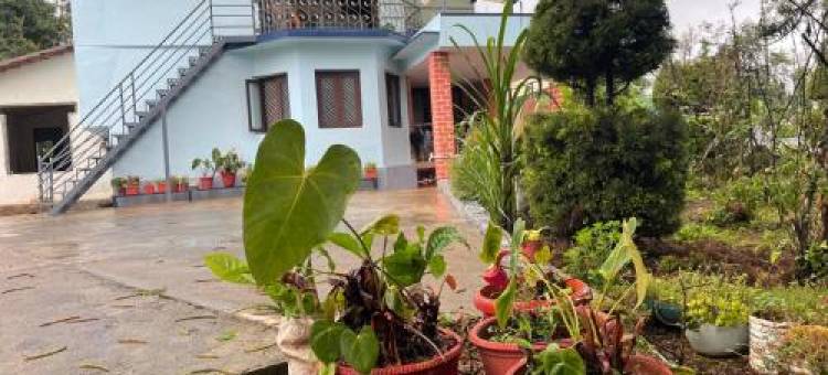 New Organic Home Stay图片