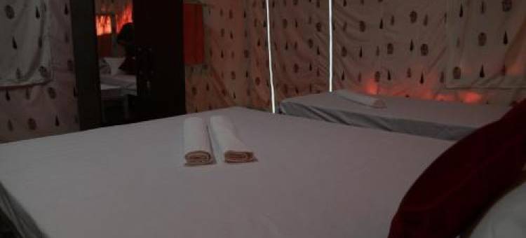 Kaziranga Eco Camp图片