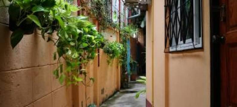 吉米和吉恩民宿(Jimmy and Jeng Homestay)图片