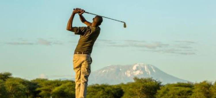 The Safari House图片