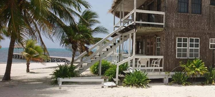 异小学岛海滩渡假村(Exotic Caye Beach Resort)图片