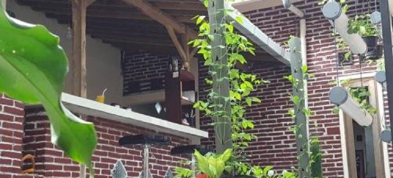 约兰惹婆罗浮屠民宿(Jolan Jalan Homestay Borobudur)图片