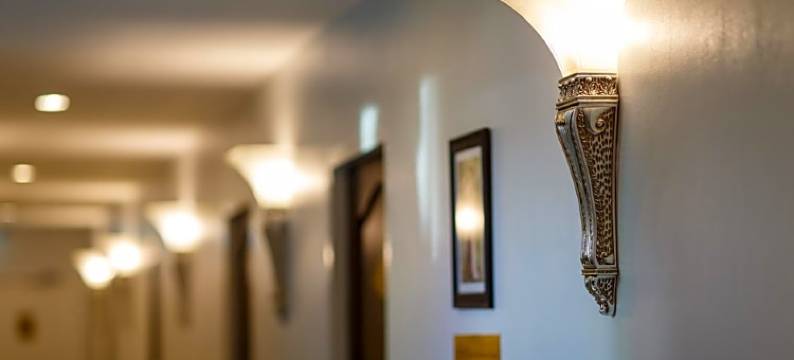 天鹅绒兰花酒店(The Velvet Orchid)图片