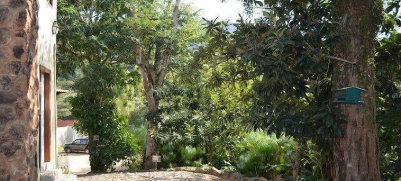 帕皮鲁斯旅馆(Pousada Papyrus)图片