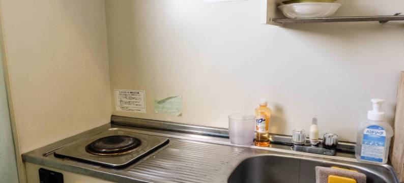 新宿卓越酒店(Ace Inn Shinjuku)图片