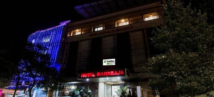 王宫住所酒店(Treebo Maharaja Residency)图片