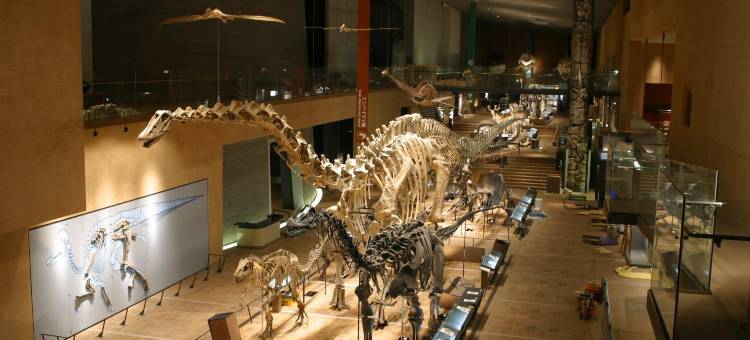 小仓城市广场旅馆(Urban Place Inn Kokura)图片