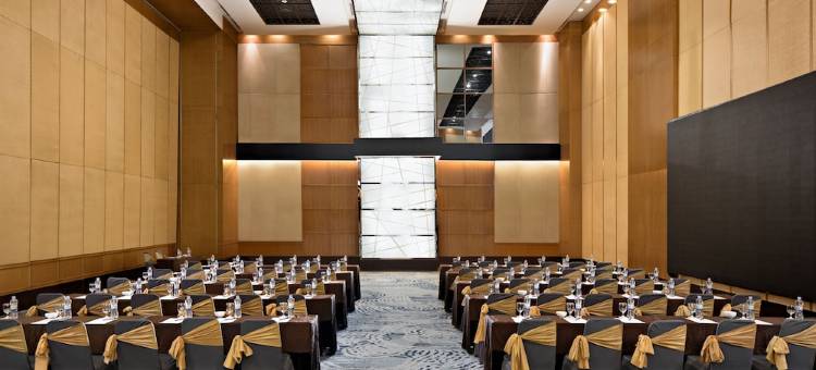 棉兰阿雅度塔酒店(Aryaduta Medan)图片