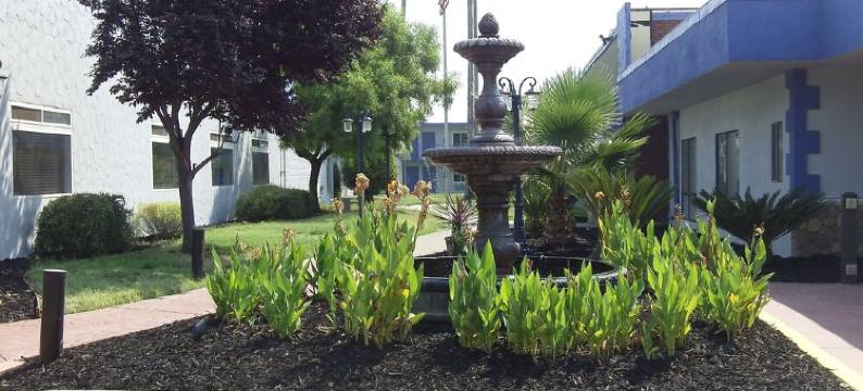 萨克拉门托加州博览会贝斯特韦斯特SureStay Plus酒店(SureStay Plus Hotel by Best Western Sacramento Cal Expo)图片