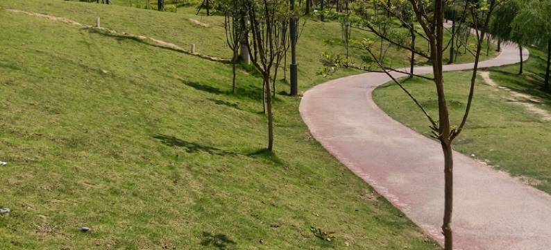 亲子出游腾龙洞龙船水乡齐岳山公寓(清源大道分店)图片