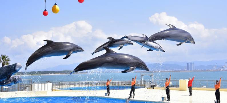 The Luigans水疗度假村(The Luigans Spa and Resort)图片