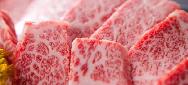 汤布院温泉 御宿 由布乃庄(Oyado Yufunoshou)图片