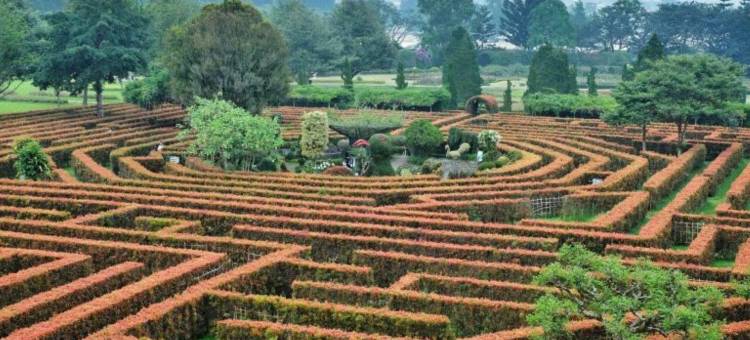 马戈酒店(The Margo Hotel)图片