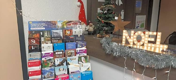 科尔玛中央布里莫酒店(Hotel Primo Colmar Centre)图片