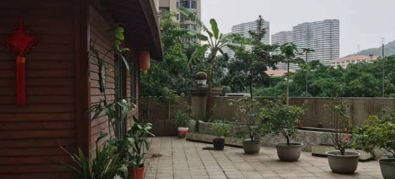 邹悦昕公寓(沧林东路分店)图片