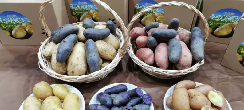 张北乐筑庭院图片