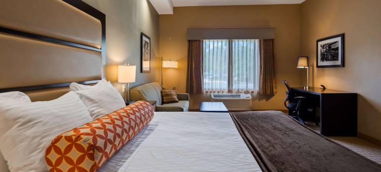 大学公园市贝斯特韦斯特优质酒店(Best Western Plus College Park Hotel)图片
