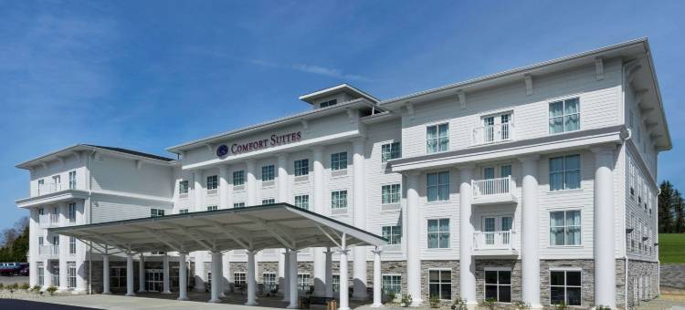 杜波依斯乡村俱乐部舒适套房酒店(Comfort Suites DuBois Country Club)图片