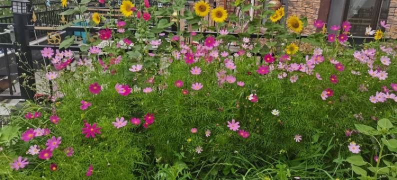 白女士家庭公寓(杭盖路分店)图片