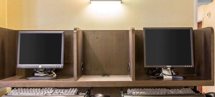 舒适套房酒店-东哈特福德(Comfort Inn & Suites East Hartford - Hartford)图片