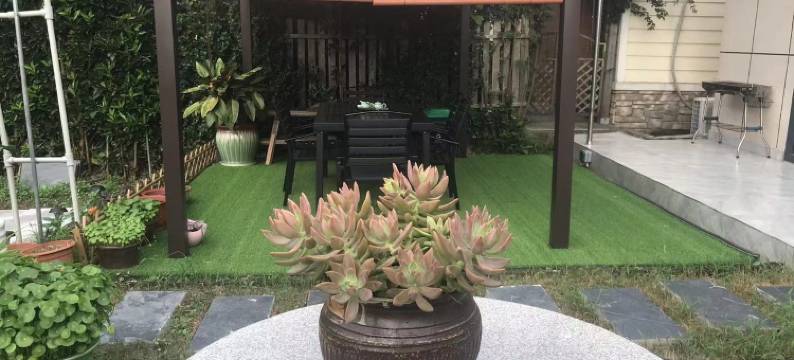 金山小阳公寓(中联路分店)图片