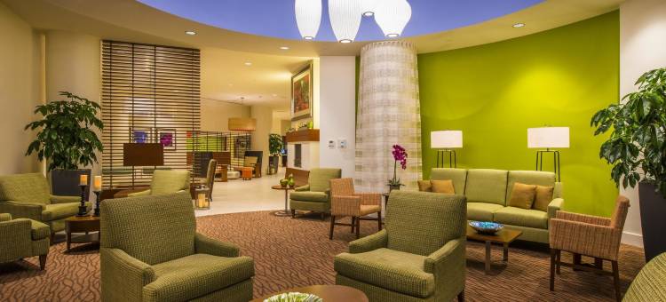 希尔顿花园酒店-亚历山德里亚旧城区国王街地铁站(Hilton Garden Inn Alexandria Old Town National Harbor)图片