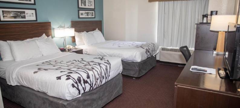 萨凡纳高速公路 I-95 舒眠酒店(Sleep Inn Savannah Gateway I-95)图片