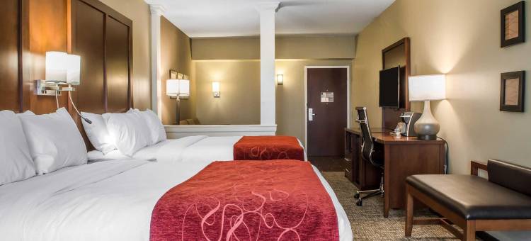 舒适套房酒店-曼海姆兰开斯特(Comfort Suites Manheim - Lancaster)图片