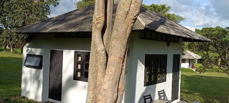 哈库纳马塔塔自然度假村(Hakuna Matata Nature Resort)图片