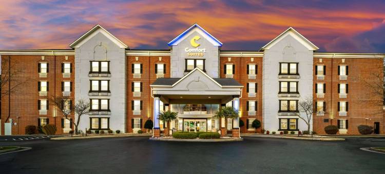 纽波特纽斯机场舒适套房酒店(Comfort Suites Newport News Airport)图片