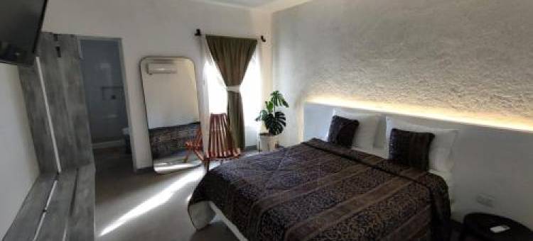 Huerto Don Antonio图片