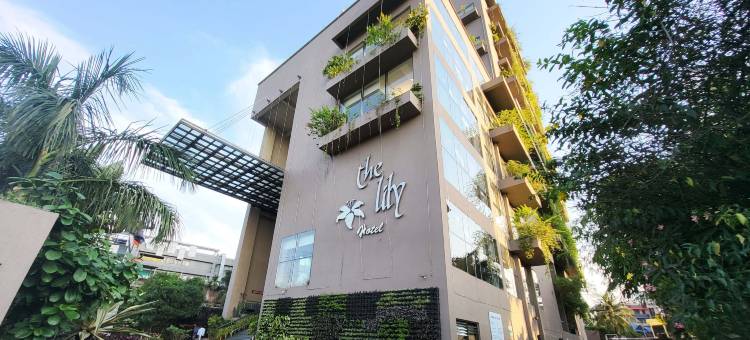 百合酒店(The Lily Hotel)图片