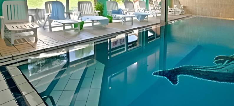 狩猎庄园Spa&餐厅酒店(Hotel Spa et Restaurant Au Chasseur)图片