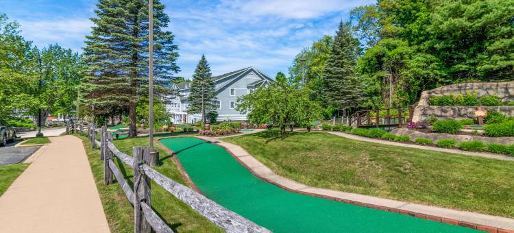 北康威舒适套房酒店(Comfort Inn & Suites North Conway)图片