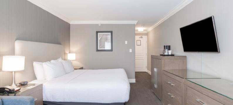 兰里三德曼酒店(Sandman Hotel Langley)图片