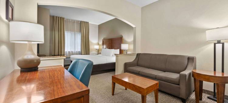 迈尔斯堡舒适酒店(Comfort Inn Fort Myers Northeast)图片