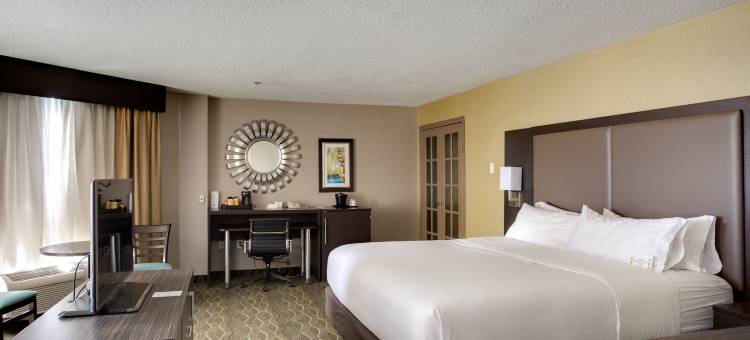 Holiday Inn 萨德伯里(Holiday Inn Sudbury)图片